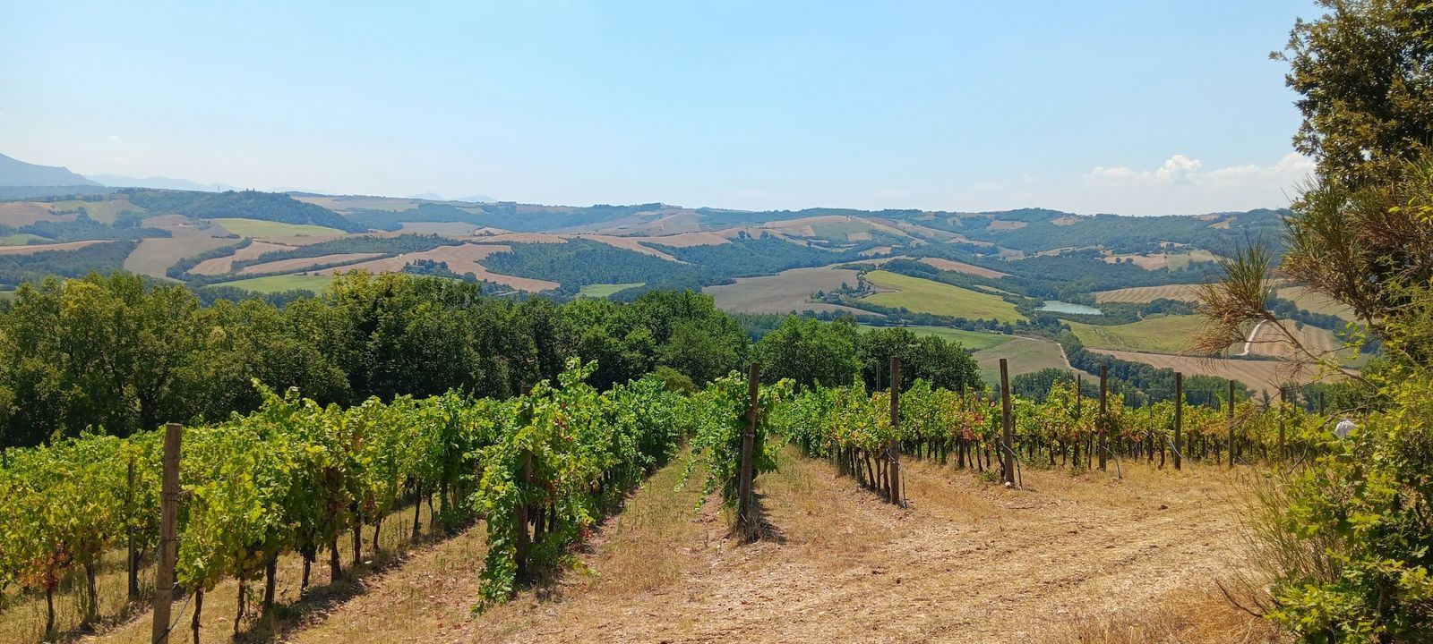 Torgiano e Perugia